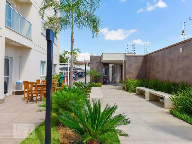 #14 - Apartamento para Venda em Campinas - SP - 3